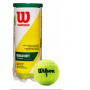 Bola Wilson Tenis Championship Regular Duty C/ 3 WRT100300