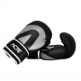 Luva de Boxe e Muay Acte