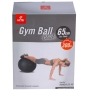GYM BALL ACTE T9-T