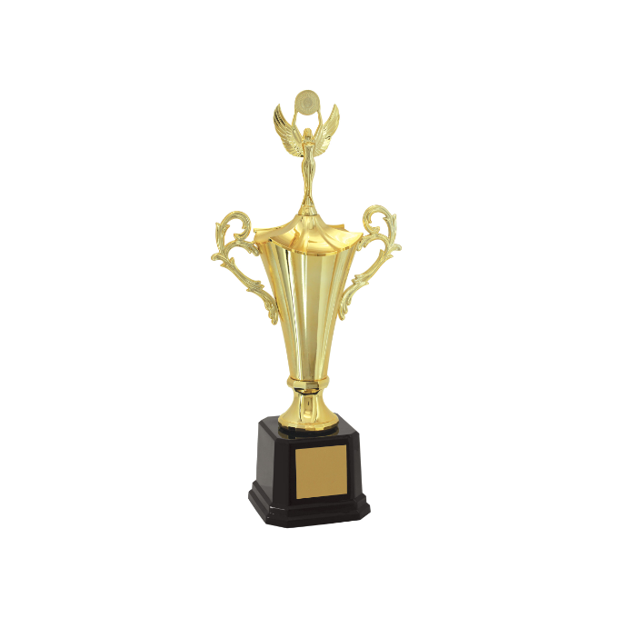 Troféu de Honra ao Mérito 400831