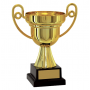 Troféu de Honra ao Mérito 500213